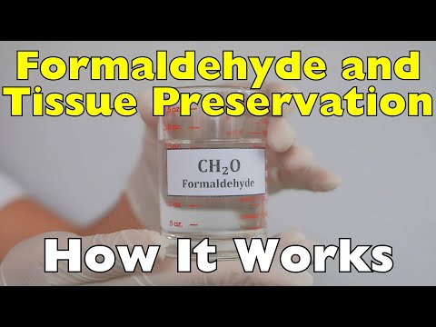 How Does Formaldehyde Preserve Organic Tissues?