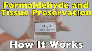 How Does Formaldehyde Preserve Organic Tissues