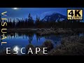 Swamp Sounds at Night - Frogs, Crickets, Forest Nature Sounds | 7 Hours