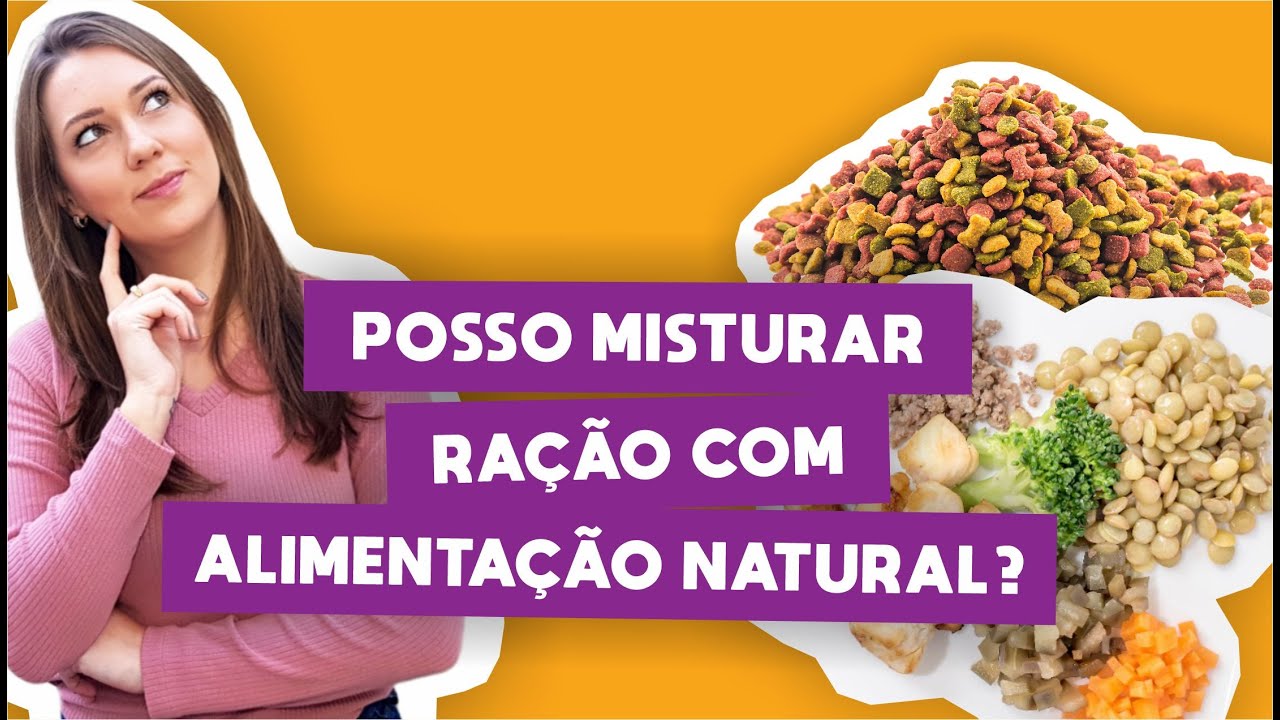 AULA: Posso misturar ração com alimentação natural? Alimentação natural p/ cães e gatos Mix feeding