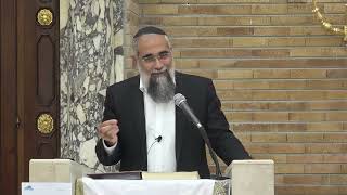 שיעור כללי - בדיני ממונות ובדיני נפשות | רה"י הרב גבריאל סרף (ישיבת כרם ביבנה) - התמונה מוצגת ישירות מתוך אתר האינטרנט יוטיוב. זכויות היוצרים בתמונה שייכות ליוצרה. קישור קרדיט למקור התוכן נמצא בתוך דף הסרטון