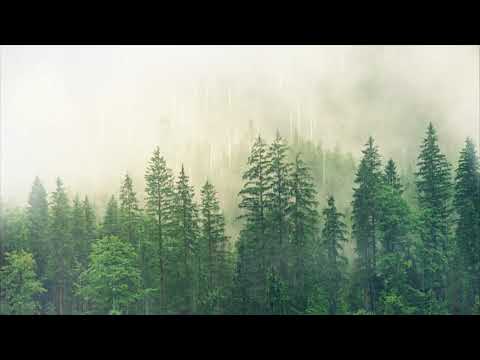 Sleep Music , Relax Nature, Calm, peaceful music | NON STOP | Soul Mantra Music