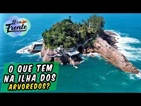 TUDO SOBRE A MISTERIOSA ILHA DOS ARVOREDOS EM GUARUJÁ - SP
