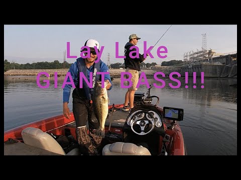 Lay Lake TOP 10 FINISH! (College Bass Wildcard)