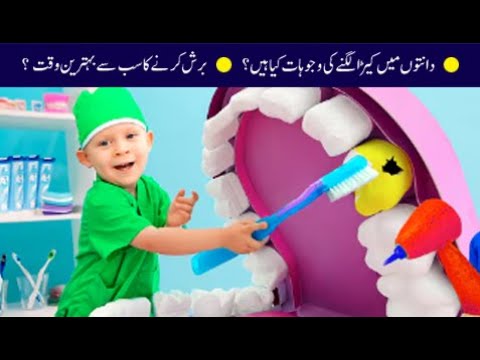 ⁣[Short Clip] What is the best time to brush and what causes of insect bites?