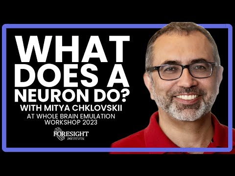 Mitya Chklovskii | What Does a Neuron Do? @ Whole Brain Emulation Workshop 2023