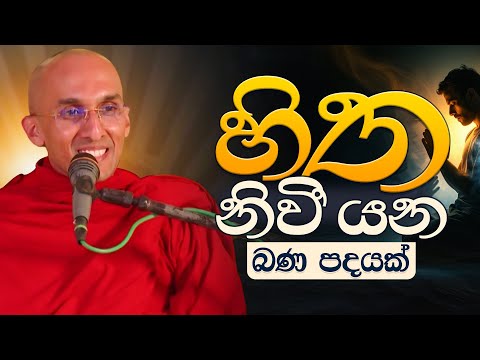 හිත නීවී යන බණ පදයක්  | Venerable Ankubure Amithadeepa Thero