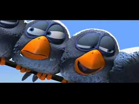 Die coolsten Vögel auf der Stromleitung