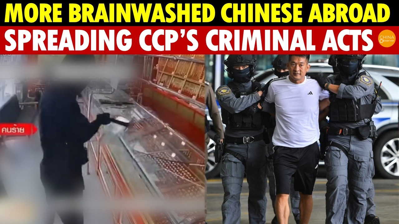 Robbery, Fraud, and Theft—More Brainwashed Chinese Abroad, Spreading CCP’s Criminal Acts