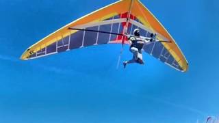 Vicarious Icarus and the Freedom FX