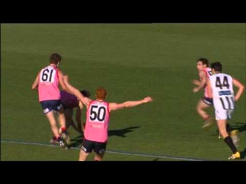 2011 VFL Round 11 Goal of the Day - Ricky Petterd