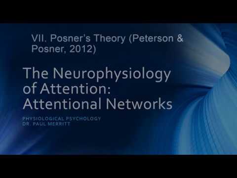 Neurophysiology of Attention: Attention Networks