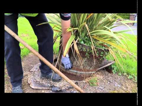 Tidy Towns Chapelizod