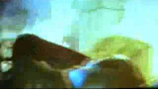 Hammerfall - Stone  Cold