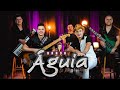 Banda Aguia-Volte Amor Lançamento oficial 2023