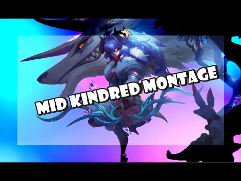 MID KINDRED MONTAGE