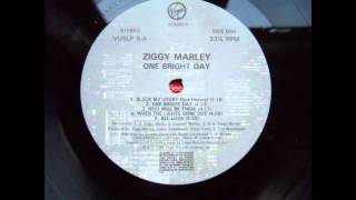 ziggy marley - who will be there