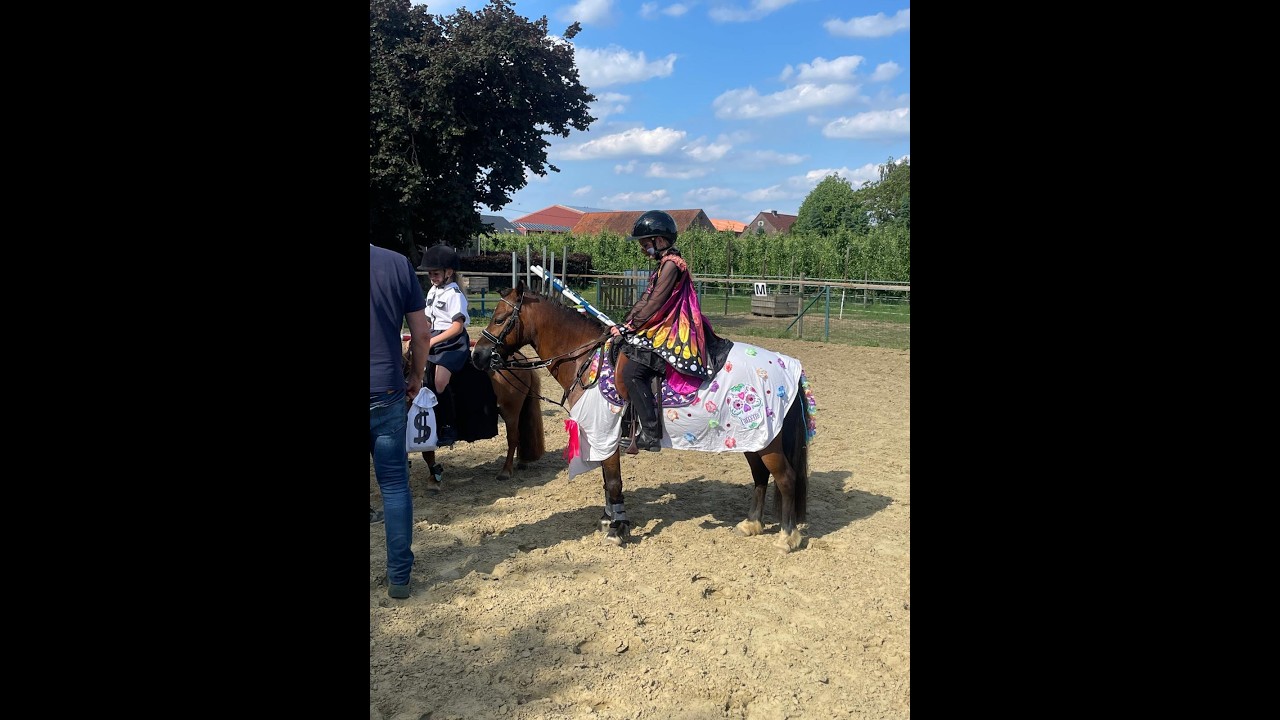 Iesehof Dulce (BREENAKKERS JULIUS x RIAN'S THUNDER) video 2