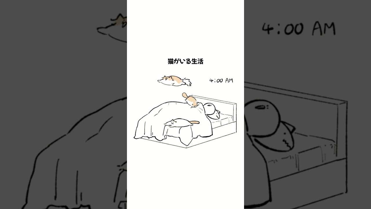 猫がいる生活 #cat #anime #もちわさ日 #shorts