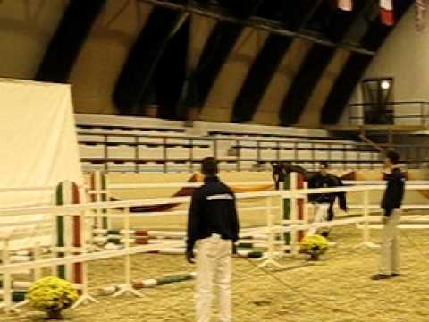 KAPOSVÁR MÉNVIZSGA