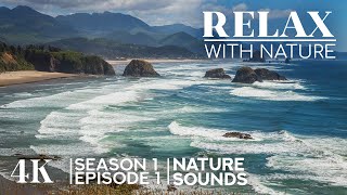 4K Peaceful Nature Sceneries of the World with Authentic Sounds | Relax with Nature - Episode 1