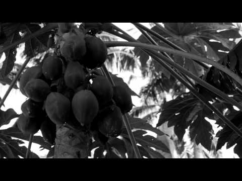 LoRecords Presents "Nos Ku Nos Vol.1"  (NOS CULTURA). By Rei Assa. Feat. Djim Job