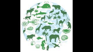 Miceli APES Carbon Cycle 1.4