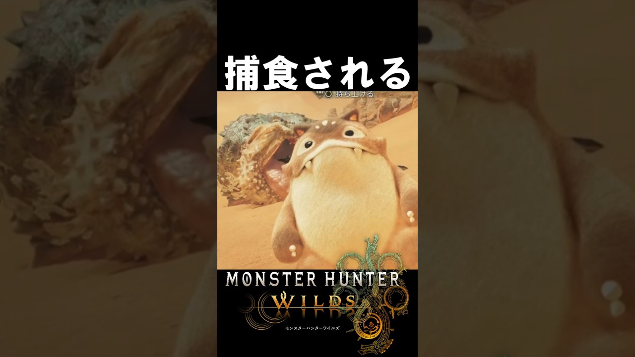 捕食されるモリバー【爆弾】　　　　　　　　　　　モンハンワイルズ魅せプ【MHWs】Monster Hunter Wilds　＃shorts＃MHWs＃モンハンワイルズ