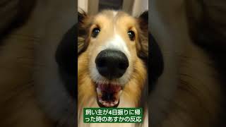 2024年11月11日