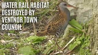 Bird nesting habitat cleared