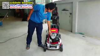 รถตัดหญ้าเดินเอง ไม่ต้องออกแรงเข็ญ 089-991-9190 Rapter เครื่องยนต์ Briggs 6 HP รถตัดหญ้าเดินเอง ไม่ต้องออกแรงเข็ญ 089-991-9190 Rapter เครื่องยนต์ Briggs 6 HP