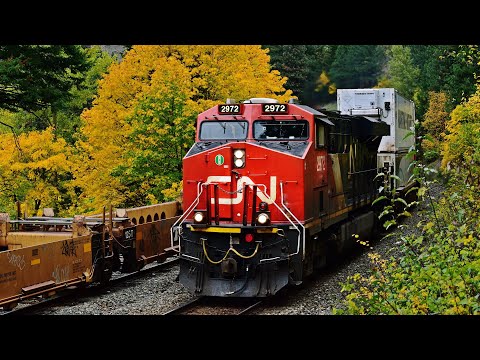 Huge Freight Trains In Canada’s Beautiful Autumn Colors Thru British Columbia 🍁🇨🇦
