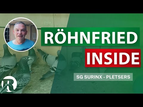 Röhnfried Inside bei der SG SURINX-PLETSERS - Brieftaubensport  - Einblicke in die Taubenschläge