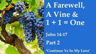 Come Follow Me LDS- John 14-17 Part 2