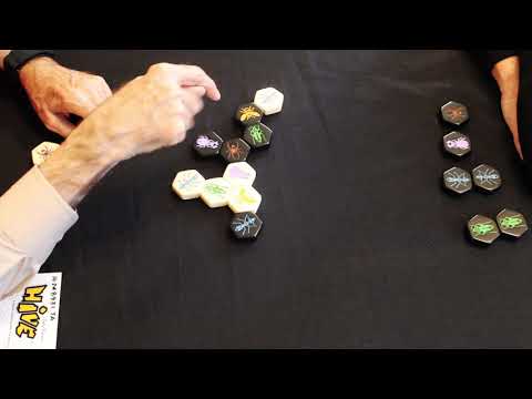 How to Play Hive
