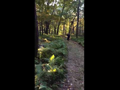 My friend decided sprinting down the trail was a good idea.