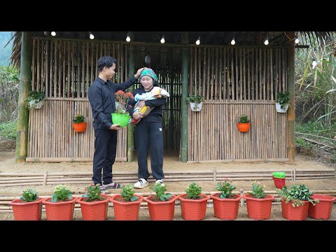 Single mother Tu Vy personally decorates her home - Everyday life