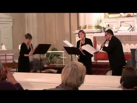 Flauto Dolce Ensemble: Matthias Friederich - Happy Birthday (1977)