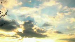 Butch Cassidy Sound System - Radioactive