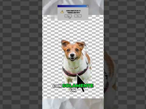 iOS 16: Cómo extraer sujetos de imágenes en la web