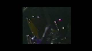 RARE-Morrissey-15 Asian rut ,31 October 1991