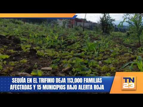 Sequía en el Trifinio deja 113,000 familias afectadas y 15 municipios bajo alerta roja