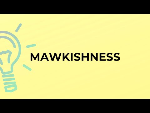 What is the meaning of the word MAWKISHNESS?