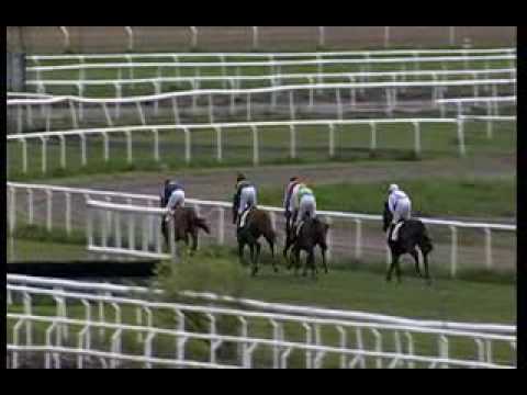 Sorrento Steeplechase