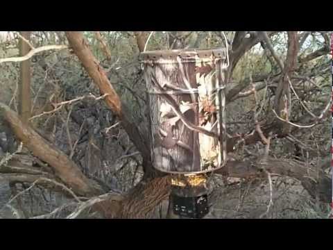 Stealth Moultrie all in one hanging deer feeder