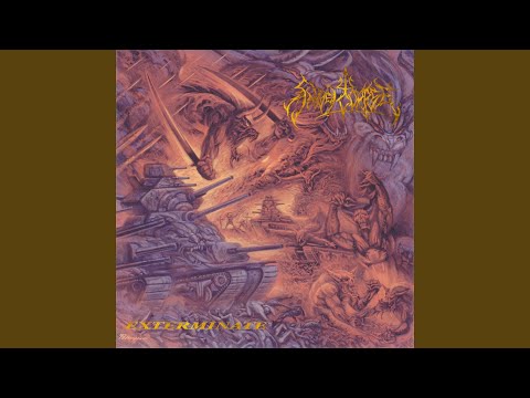 Into The Storm Of Steel