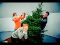 Luisteraars brengen kerstboom naar de iglo (Music For Life 2015)