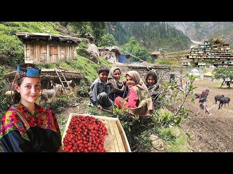 Unseen Pakistani Village Life at Top of Coldest Mountain | Ancient Culture | Stunning Pakistan