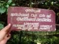 Facebook Chick Rukshan Mark feat Iraj Krishan Bk Bertram charles