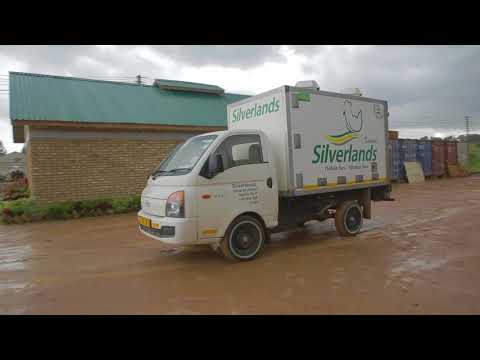 Silverlands Poultry, Tanzania